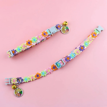 Colorful Cat Collar