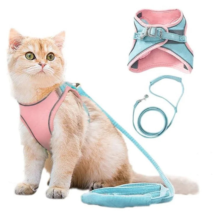 Kattvästsele koppel set