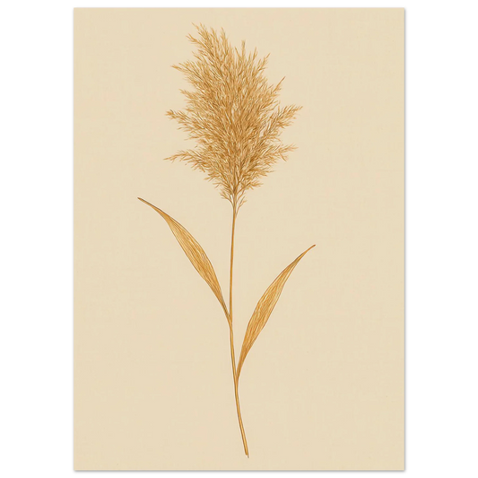 Frukter – Elegant Pampasgräs Botanisk Affisch i Jordnära Toner, Premium Halvblankt Papper