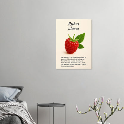 Frukter: Vibrant Rubus Idaeus Raspberry Botanical Art Print – Rich Red Hues for Your Home or Kitchen