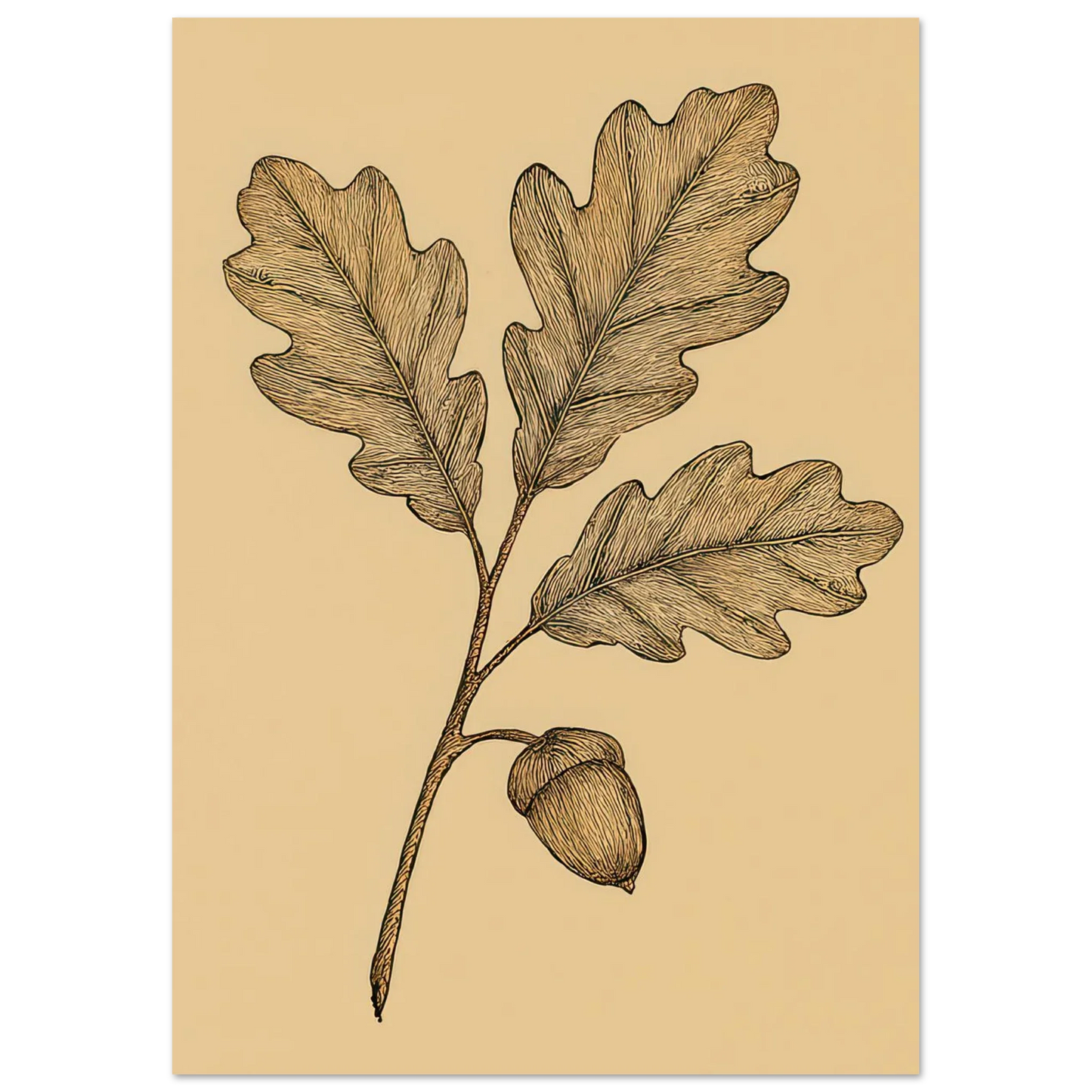 Frukter Oak Leaf & Acorn Botanical Art Print – Timeless Nature-Inspired Wall Decor in Various Sizes