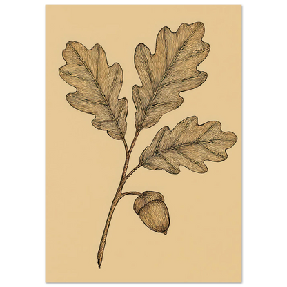 Frukter Oak Leaf & Acorn Botanical Art Print – Timeless Nature-Inspired Wall Decor in Various Sizes