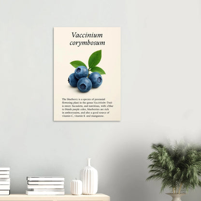 Frukter Botanisk Poster: Vaccinium Corymbosum (Blåbär) Konsttryck med levande blå nyanser och din valda storlek