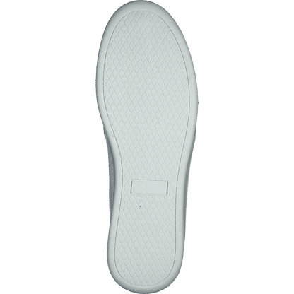 73-42209 White