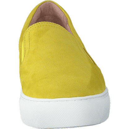 Starlily Yellow