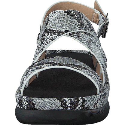 97-09095 Black/white