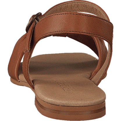 Madeleine Cognac