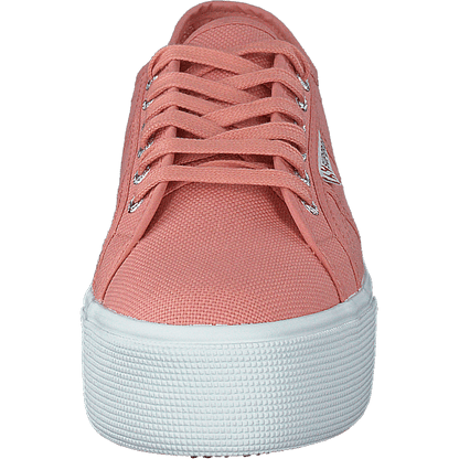 2790 Acotw Linea Rose Lobster