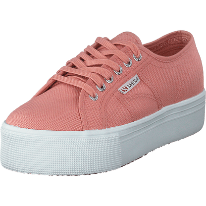 2790 Acotw Linea Rose Lobster