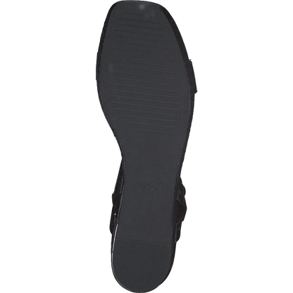 Eloiniel Black