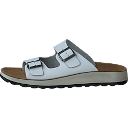 484-7764 White