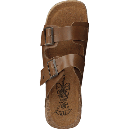 Caja721fly Camel