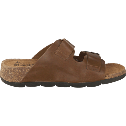 Caja721fly Camel