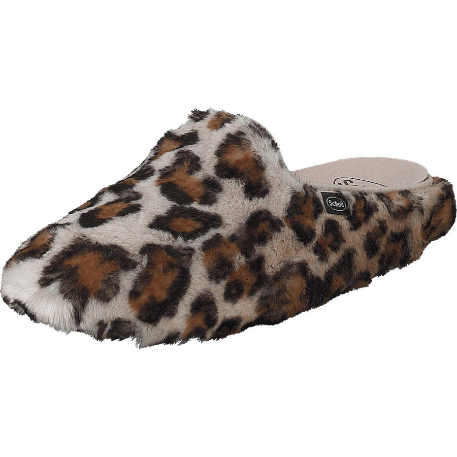 Maddy Leopard