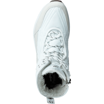 Arena Sapporo Gtx White
