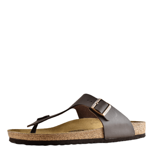 Ramses (normal) Brown