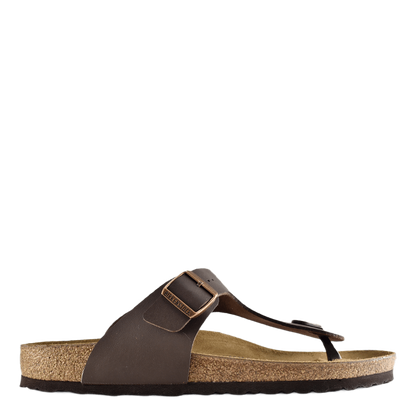 Ramses (normal) Brown