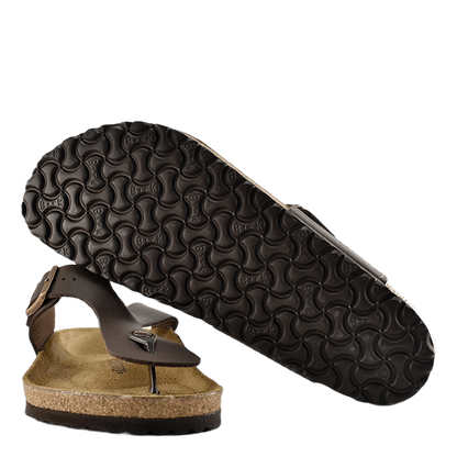 Ramses (normal) Brown