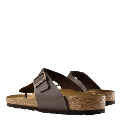 Ramses (normal) Brown