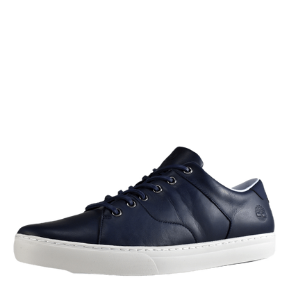 Adventure 2.0 Cupsole Black Iris