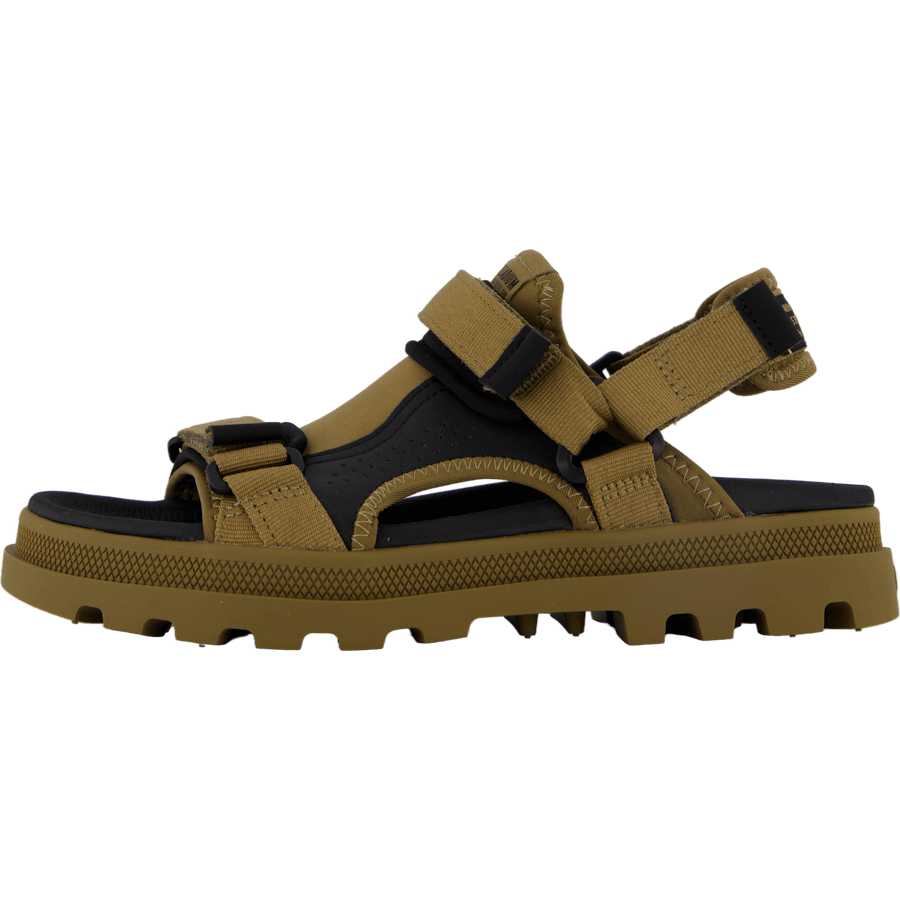 Palladune Og Sport Olive
