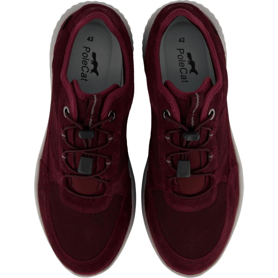 Credo Toronto Gtx Bordo