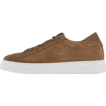 Brian Taupe