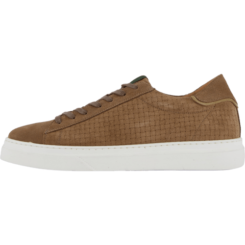 Brian Taupe