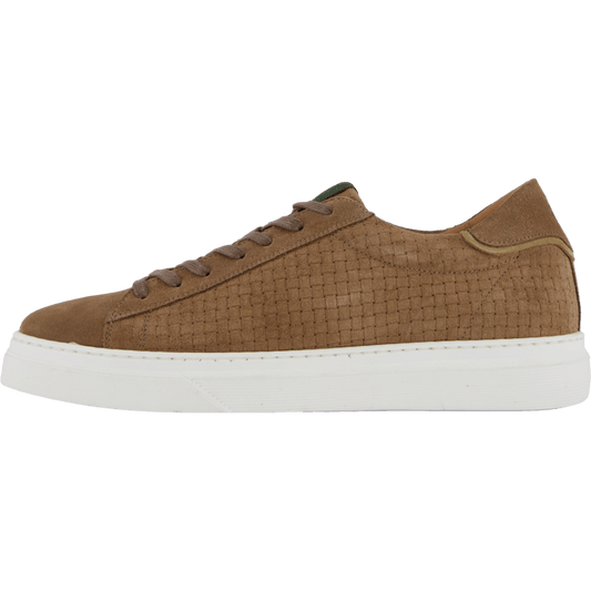 Brian Taupe
