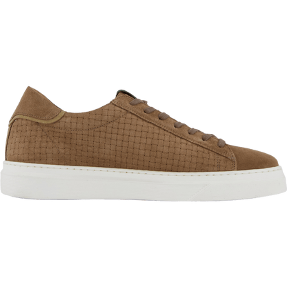 Brian Taupe