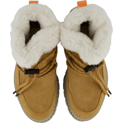 Pallashock Lo Hiver Irish Brown