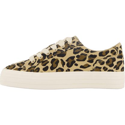 74-63363 Brown/multi