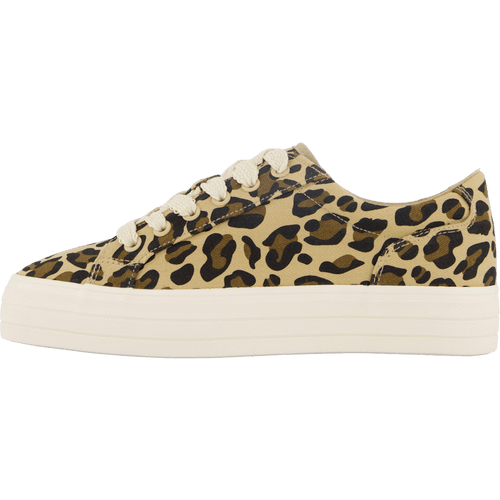 74-63363 Brown/multi
