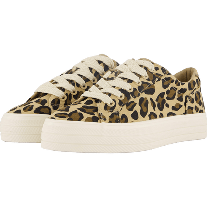 74-63363 Brown/multi