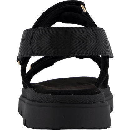 75-23352 Black