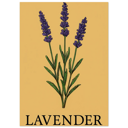 Frukter Lavender Botanical Art Print – Classic Halvblankt Poster for a Touch of Serenity