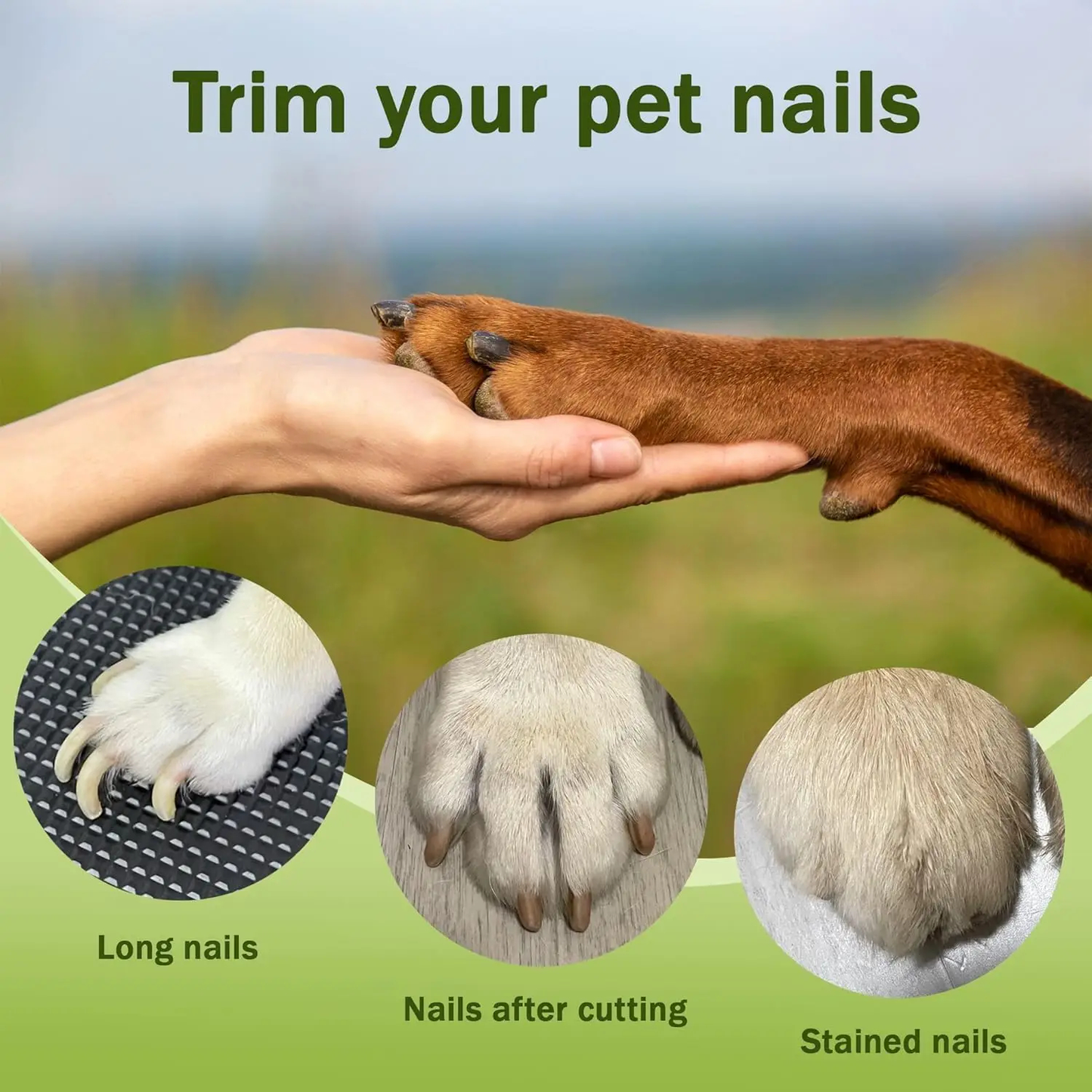 LED Pet Nail Clipper