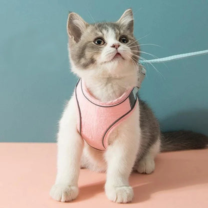 Kattvästsele koppel set