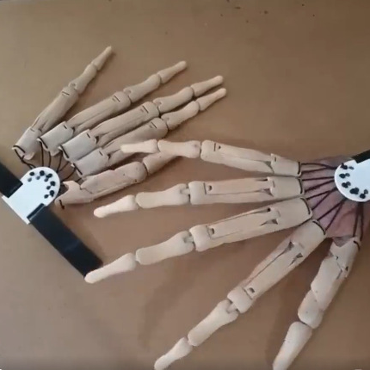 Articulated Skeleton Hand Prop