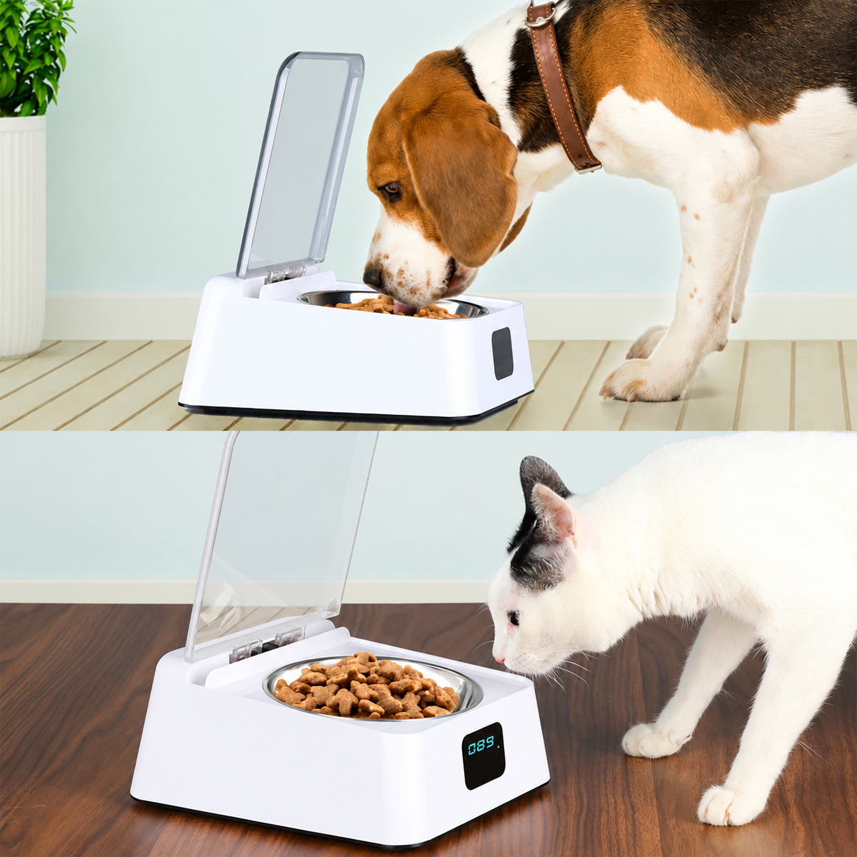Sensor Lid Pet Food Bowl