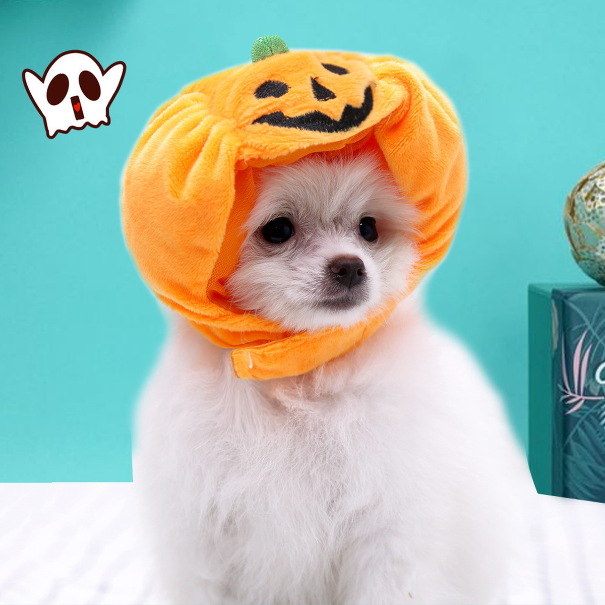 Plush Pumpkin Pet Hat