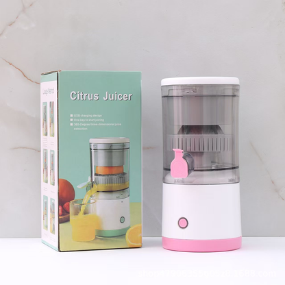 Mini Juicer Blender