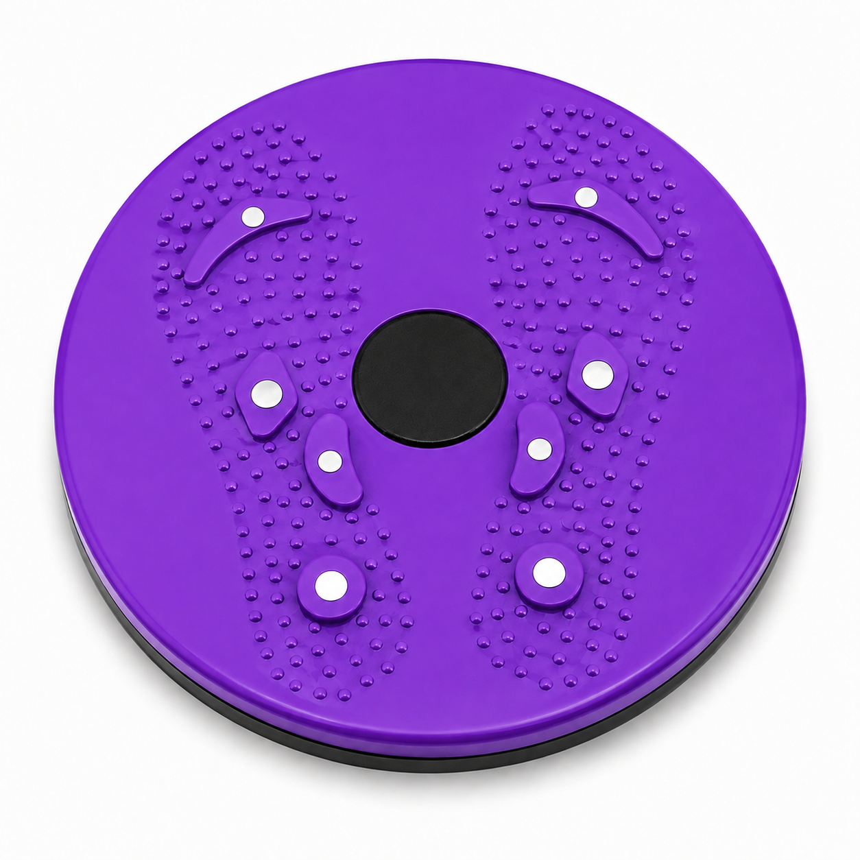Magnetic Waist Twister