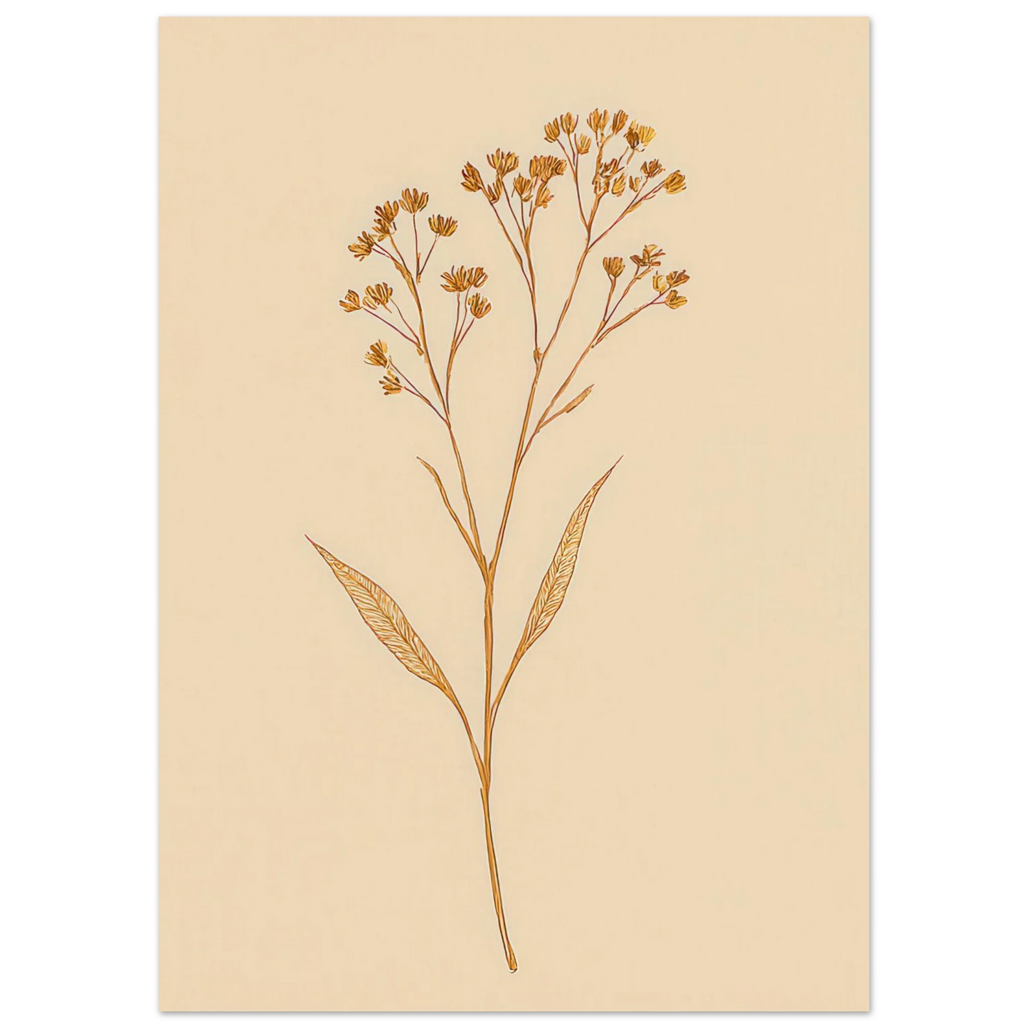 Frukter – Elegant Botanical Line Art Print on Premium Halvblankt Paper