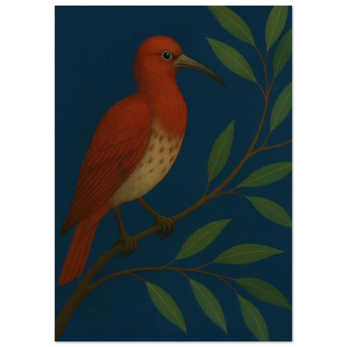 Djur: Vibrant Crimson Bird Art Print on Deep Teal Background, available in multiple sizes