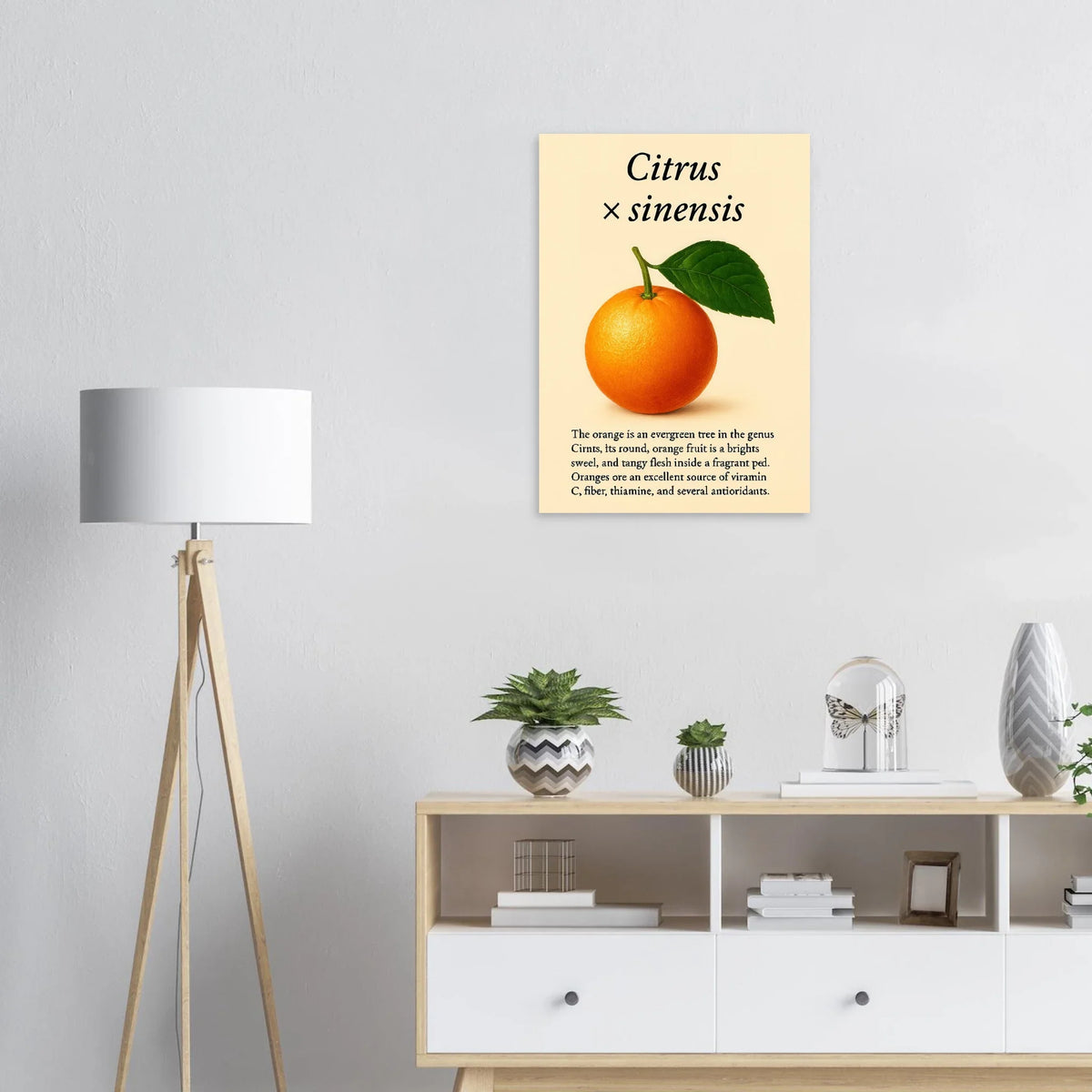 Frukter Citrus Sinensis Botanisk Poster - Vibrant Orange Art Print för ditt hem