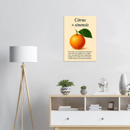 Frukter Citrus Sinensis Botanisk Poster - Vibrant Orange Art Print för ditt hem