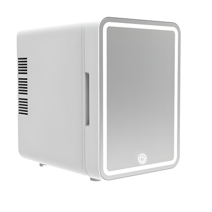 6 L Mirror Car Fridge