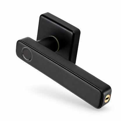Fingerprint Lever Door Handle with Key Backup