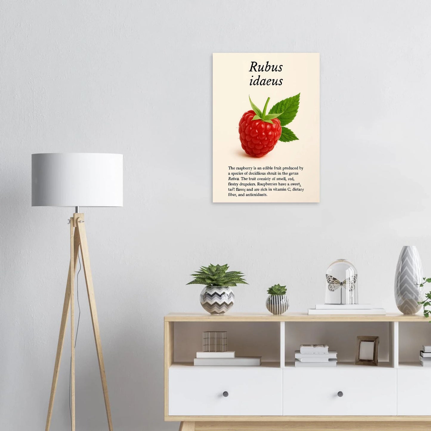 Frukter: Vibrant Rubus Idaeus Raspberry Botanical Art Print – Rich Red Hues for Your Home or Kitchen